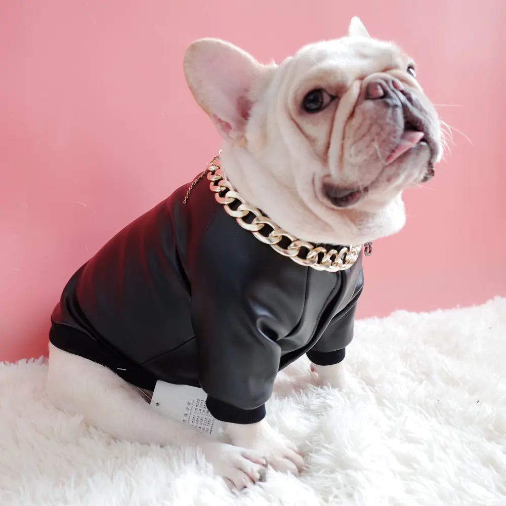 Velvet Zipper Stretch PU Leather Dog Clothes for Schnauzers