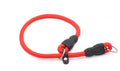 Durable Nylon Dog Training Collar for All Breeds (Single)